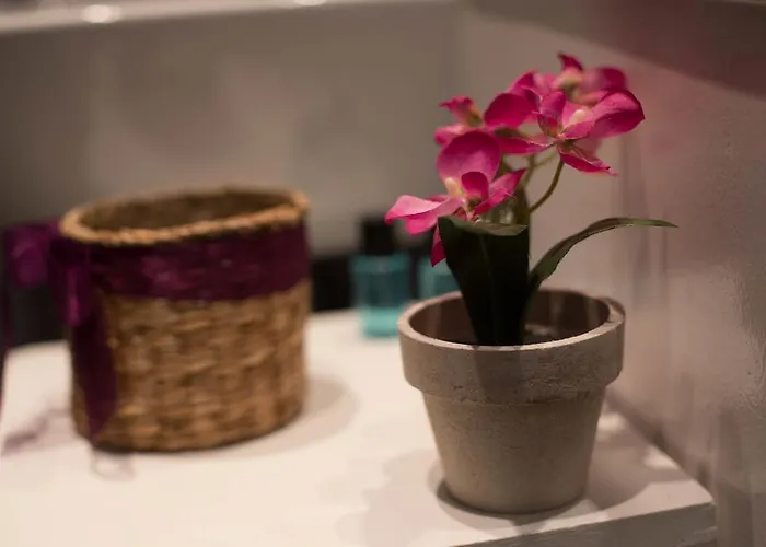 Historical דירה *