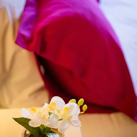 Διαμέρισμα Historical *