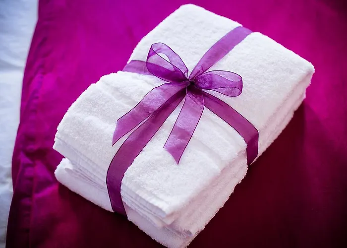 Historical Porto Studios